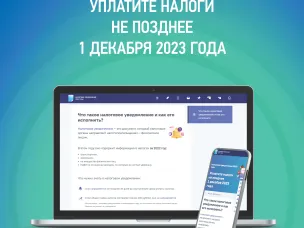 Срок уплаты имущественных налогов за 2022 год